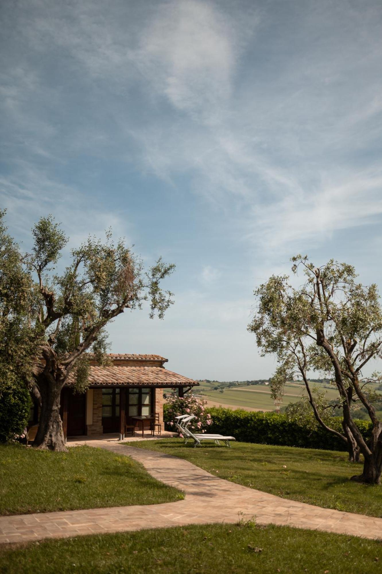 Poggio Antico Apartment Monte San Vito Exterior photo